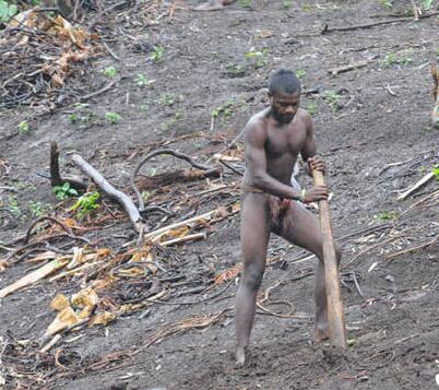 1484107283216007.jpg 11111116.jpg