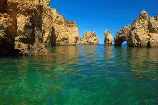 1486282072559161.png 11.png