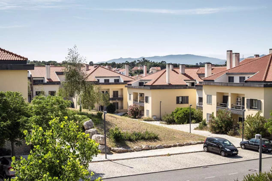 1486282315895379.png 19.png