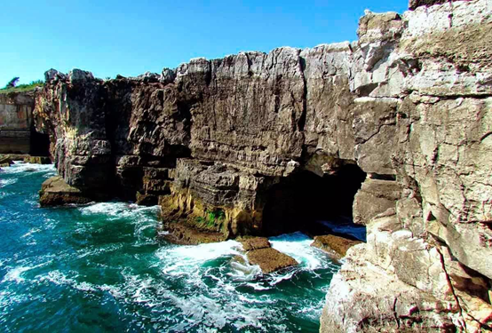 1486283733331910.png 10.png