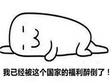 1501745879986305.jpg 加拿大福利.jpg