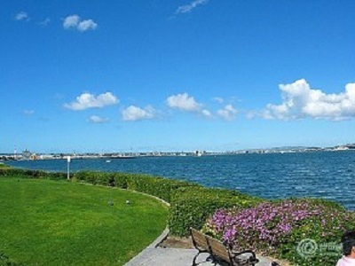 1512634993272277.jpg 5.jpg